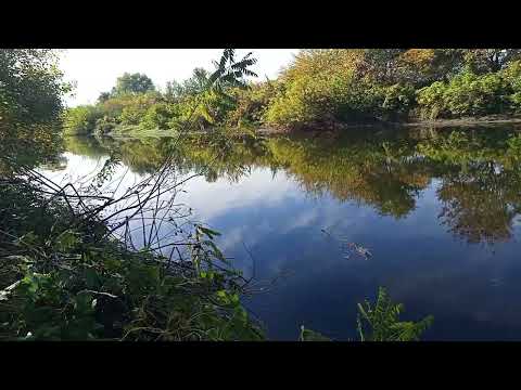 Видео: 25 .10. на Тунджата до Сливен хванах ,,огромна ,,червеноперка , борбата беше безмилостна 