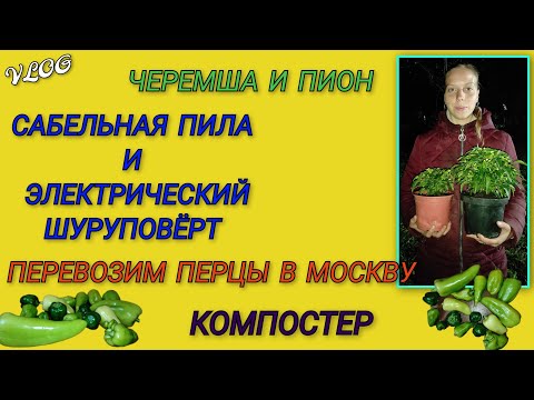 Видео: 🍒Посадила черемшу и пион/ Появился компостер/Спилили сливы/Новый инструмент/Заправляем баллоны газом