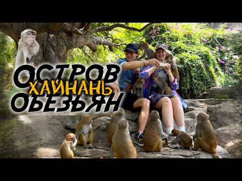 Видео: ОСТРОВ ОБЕЗЬЯН в Хайнань 🐒 Обзор острова обезьян, эмоции, рекомендации🌴