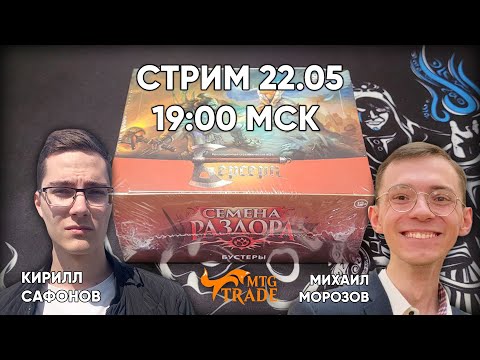 Видео: Вскрываем дисплей ККИ Берсерк "Семена Раздора"! | Запись стрима 22.05.2024