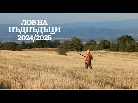 Видео: Лов на пъдпъдък-Сезон 24/25