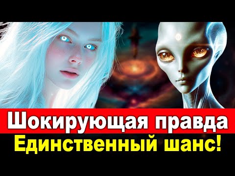 Видео: 【Срочное Уведомление】Удивительные Открытия, Пришедшие Прямо с Плеяд — Все Должны Посмотреть!