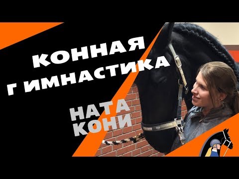 Видео: Гимнастика для лошади / Ната Кони