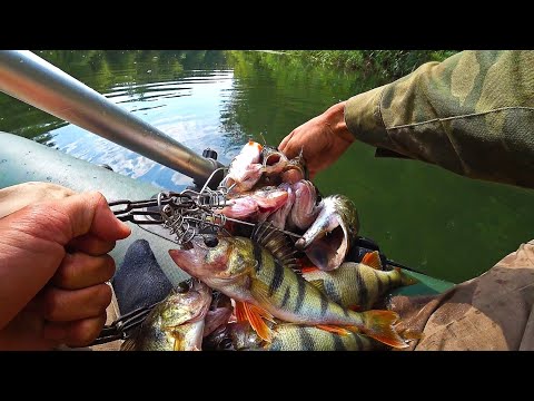 Видео: Что не заброс рыба! Это жор!  Клёв везде. Рыбалка на спиннинг 2022.
