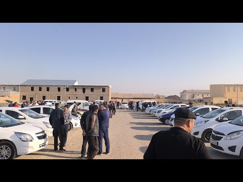 Видео: Беруний мошина бозори 23.10.2025