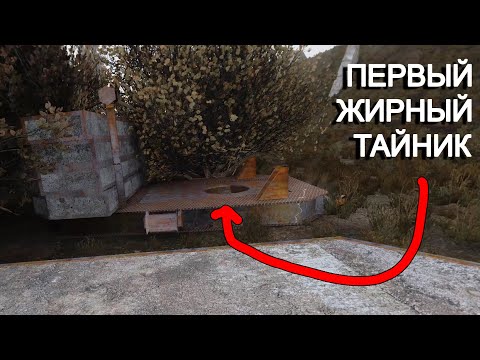 Видео: Поднимаюсь с низов в STALKER Anomaly GAMMA #2