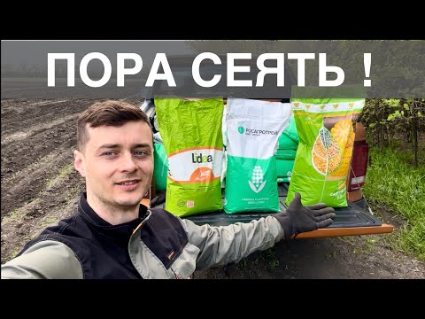 Видео: Сев кукурузы. 3 гибрида