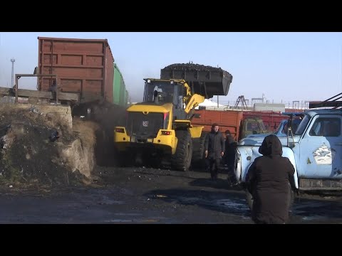 Видео: Шардара ауданының тұрғыны алтынын өткізіп, көмір алуда