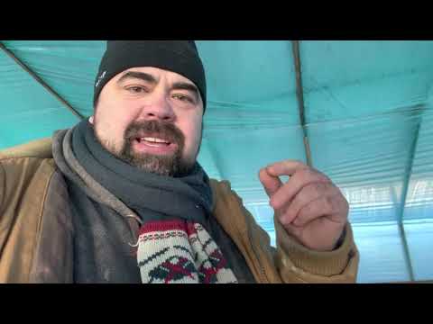 Видео: Обработка луковиц тюльпана , укоренение, выгонка Тюльпанов 2022, фунгицид, грунт , Болезни Тюльпа.