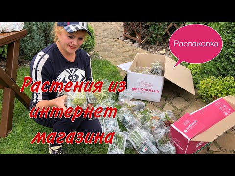 Видео: Растения из интернетмагазина ФЛОРИУМ. РАСПАКОВКА. Готовлюсь к новому сезону. Растения с названиями.