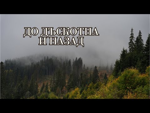 Видео: ДО ДЪСКОТНА И НАЗАД