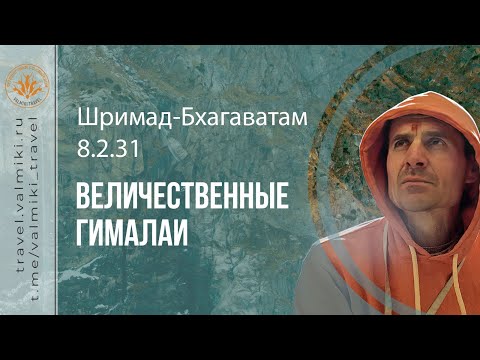 Видео: ШРИМАД-БХАГАВАТАМ 8.2.31 | Ришикеш