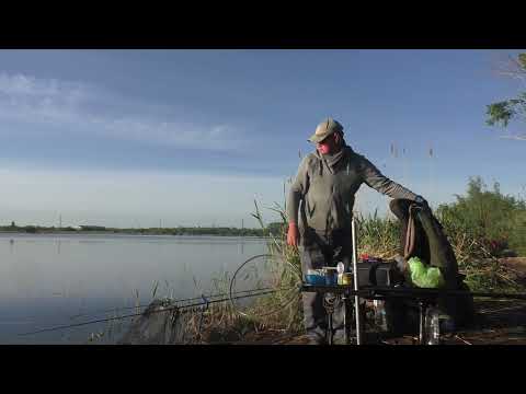 Видео: Карась на фидер в мае 2022. Рыбалка на карася в Омске - #OmskFish