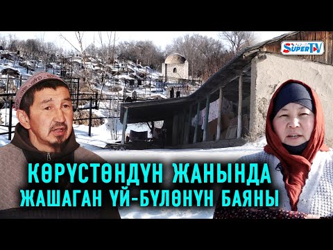 Видео: "Жыландар менен аралашып жашайбыз" дейт көрүстөнгө катар жашаган үй-бүлө