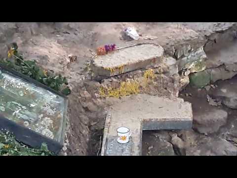 Видео: Живун. Холодный Яр. Целебный источник в аномальной зоне.