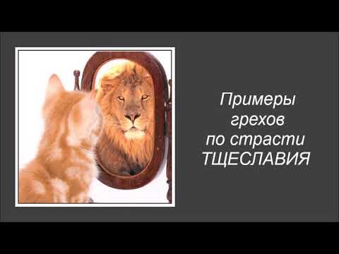 Видео: Примеры грехов по страсти тщеславия