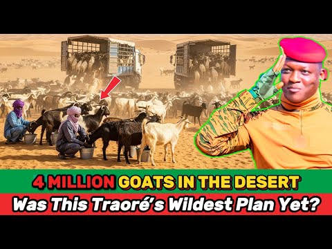 Видео: Что на самом деле стоит за проектом Ибрагима Траоре по разведению 4 миллионов коз в пустыне Сахель?