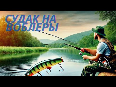 Видео: Самая эффективная проводка на ночного судака. Рыбалка в Германии
