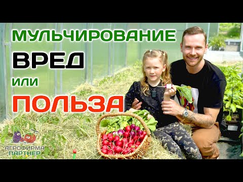 Видео: Когда и чем стоит мульчировать грунт  #огород #дача