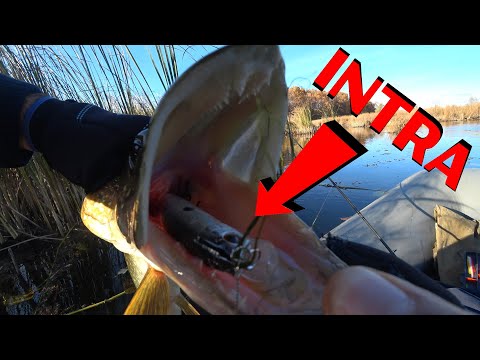 Видео: Воблер который СМОГ. Kosadaka Intra XS 125F