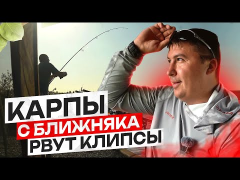 Видео: СУМАСШЕДШИЙ КЛЕВ В ПЕРВЫЕ СУТКИ, А ПОТОМ... Чемпионат Брянской области по ловле карпа.