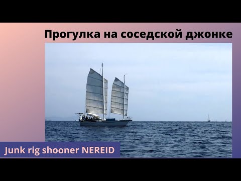 Видео: Прогулка на соседской джонке