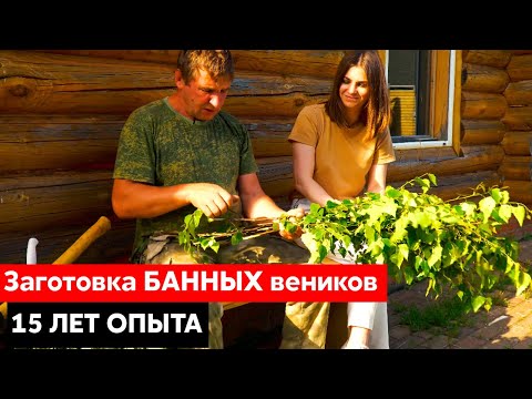 Видео: Заготовка БАННЫХ веников || 15 лет ОПЫТА