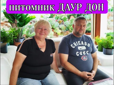 Видео: Известный питомник ДАУР ДОН / Кавказская овчарка+Среднеазиатская овчарка