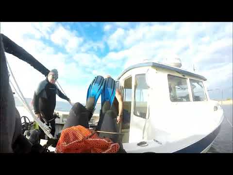 Видео: Металлоискатель — Погружение с Deus II — На ощупь в мутной воде