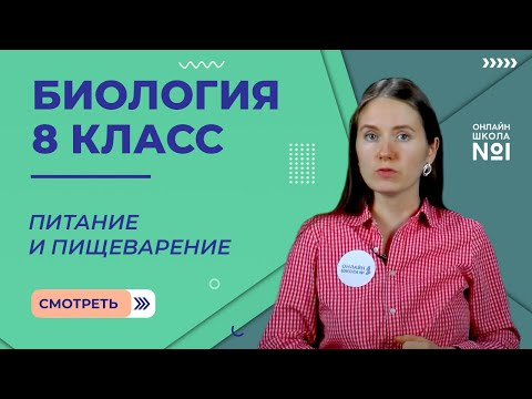 Видео: Питание и пищеварение. Видеоурок 21. Биология 8 класс