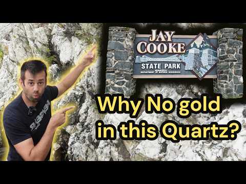 Видео: Означает ли кварц золото?