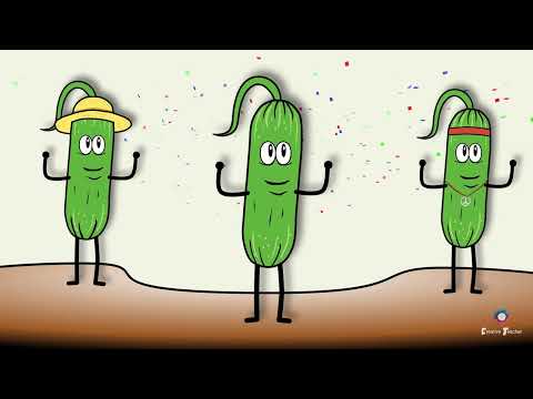 Видео: Руханка танець 'Cucumber Dance' Фізкультхвилинка
