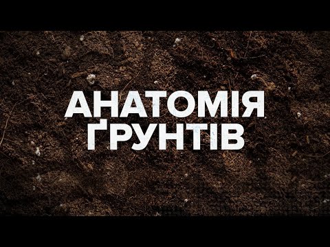 Видео: 5. Ємність катіонного обміну ґрунтів | Глибоке пояснення