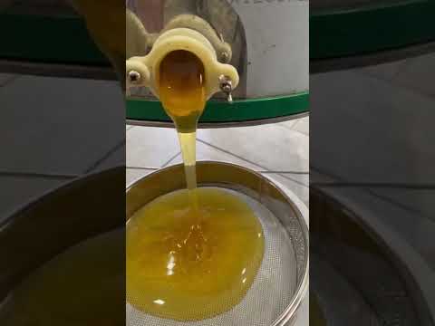 Видео: 4 августа 2022 г.