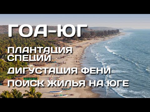Видео: 36. ГОА. 1й день путешествия на Юг Гоа. Плантация специй.