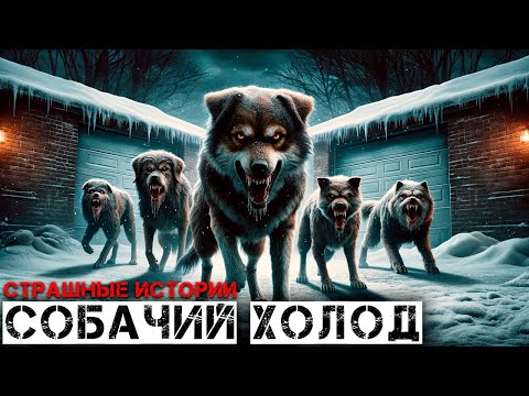 Видео: СОБАЧИЙ ХОЛОД I Страшные Истории На Ночь