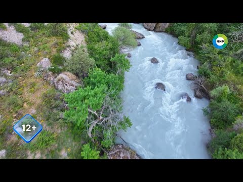 Видео: «Реки жизни: Сырдарья»: путешествие по главной водной артерии Центральной Азии