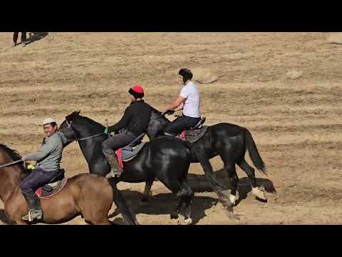 Видео: Бузкаши Ч Балхи Шахраки Иттифок 29 10 2025 кисми 3