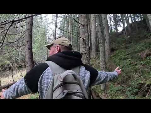 Видео: Ну ТА ну!  Ото місця! У глуші ГІР плантації ГРИБІВ!