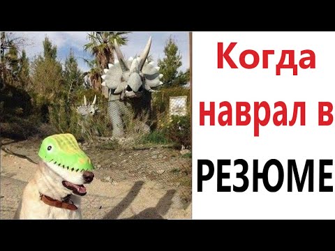 Видео: ПРИКОЛЫ! КОГДА НАВРАЛ В РЕЗЮМЕ!!! ЛЮТЫЕ МЕМЫ от Доми шоу