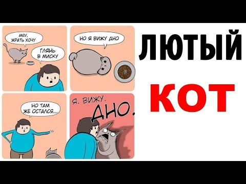 Видео: Лютые приколы. ЛЮТЫЙ КОТ. Угарные мемы