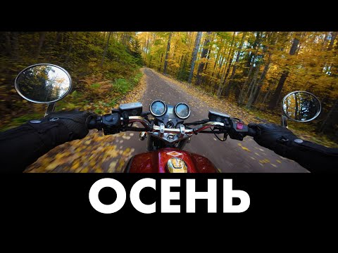 Видео: Осень которая удивляет | Honda cb1100