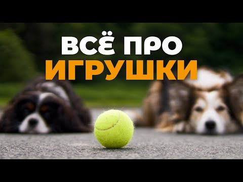 Видео: Все игрушки для собак 🐕 Что реально стоит покупать