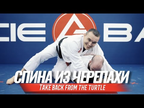 Видео: Спина из черепахи (Take Back from the turtle)