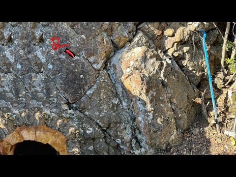 Видео: Момент обнаружения сокровища у входа в Махсен, о котором все удивляются...