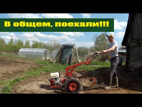 Видео: Готовлюсь к 100 тяжелым индюкам и в поле "Урожайного огорода" с мотоблоком МТЗ Беларус!