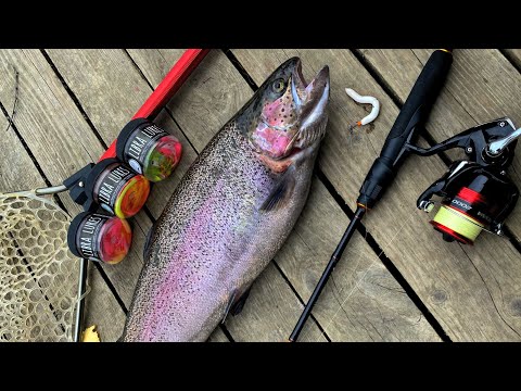 Видео: СЕКРЕТНЫЙ СПОСОБ Ловли Форели Новые приманки ловят Форель