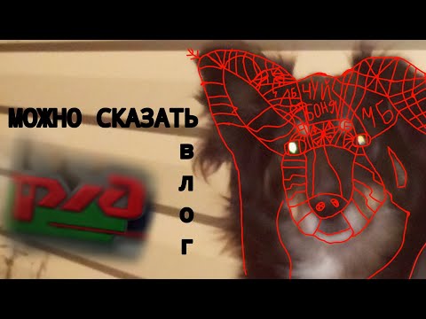 Видео: МОЖНО СКАЗАТЬ 1 ВЛОГ