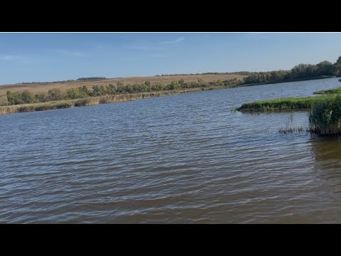 Видео: Батл коропятників флет проти класики, ловля коропа на платнику