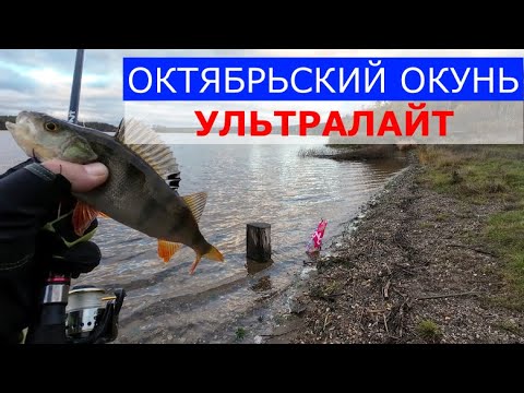 Видео: Октябрьский окунь, на ультралайт. Только поклёвки